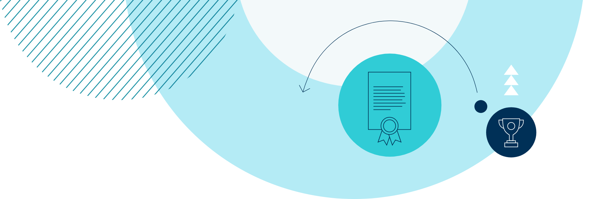 上海诺达双语国际学校丨IB A Level课程 - 03 - Feature Cards Pattern