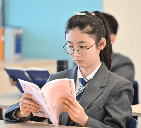 IB - Approaches to Learning