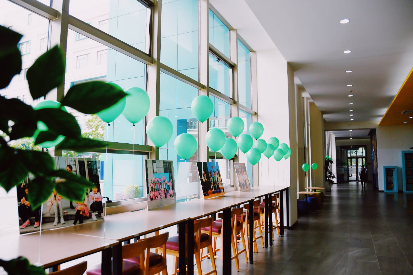 诺达绿色日 - Green Day