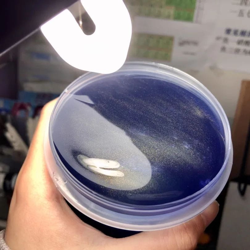 斩获全球17枚offer，IB成绩44分的诺达学霸是怎么炼成的？ - Jenny Chen