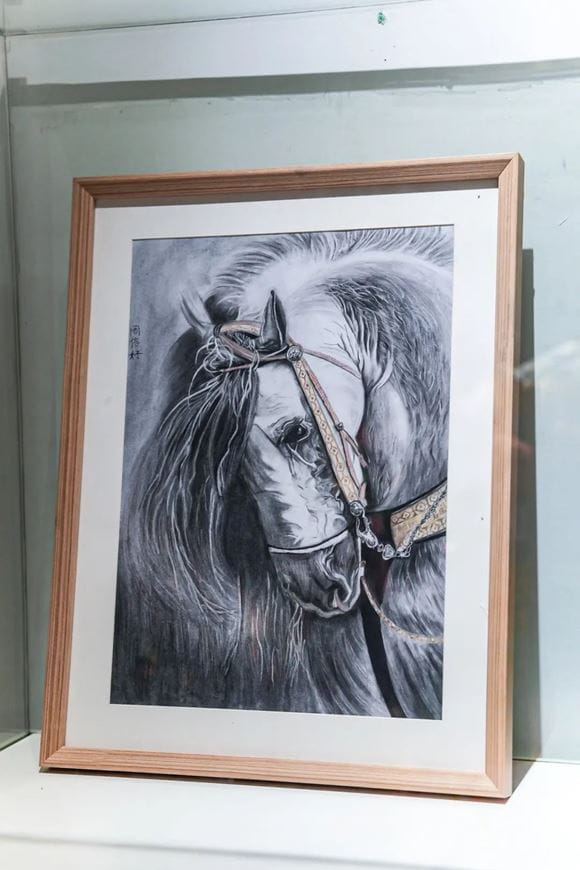 诺达x艺术|这个夏天,NACIS的多巴胺color来了 - Art