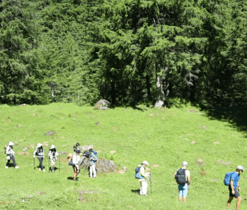 诺达传统之瑞士徒步,孩子们的意志力已经到 - Swiss Hiking