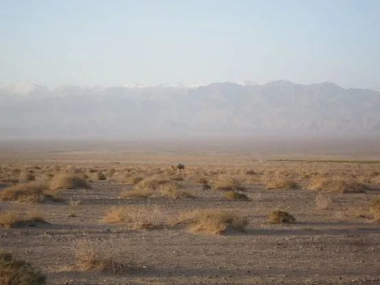 诺达学子跟着奥运冠军王丽萍再闯戈壁 - Gobi