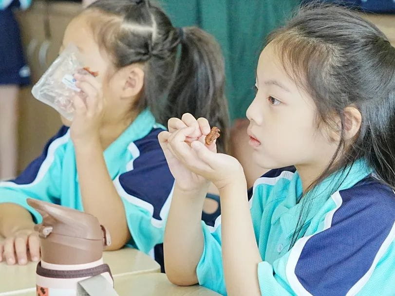 诺达一年级夏令营 - G1 Summer Camp