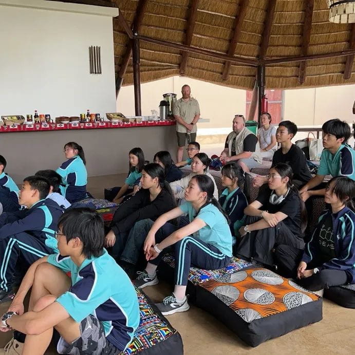 上海诺达双语国际学校丨IB A-Level课程 - 05 new - Feature Cards Pattern