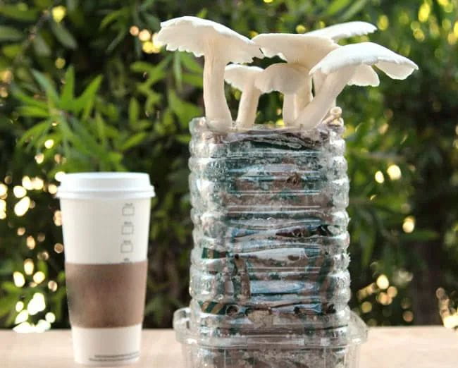 「育未来」家庭低碳生活节 - Sustainable Future Life