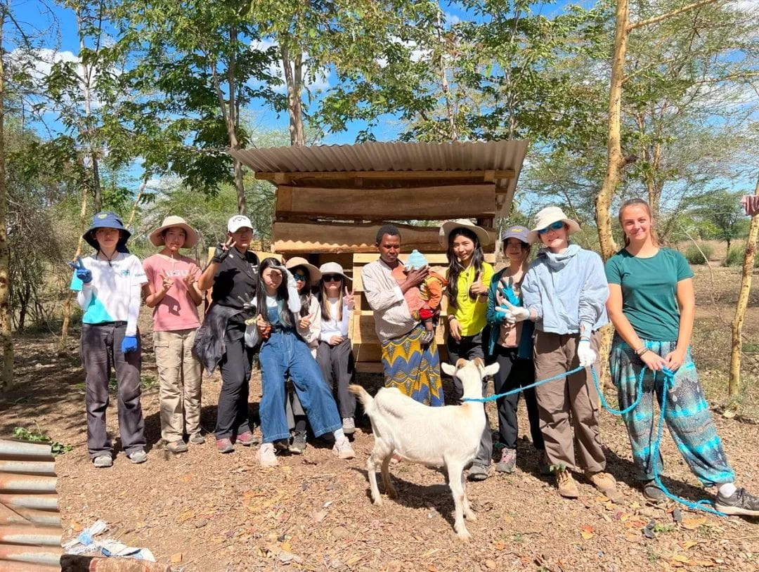 集齐七颗龙珠，助力小学飞升 - primary education