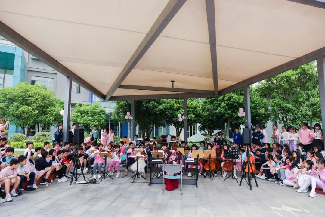 集齐七颗龙珠，助力小学飞升 - primary education