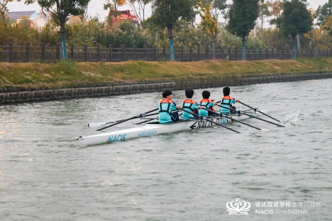 集齐七颗龙珠，助力小学飞升 - primary education