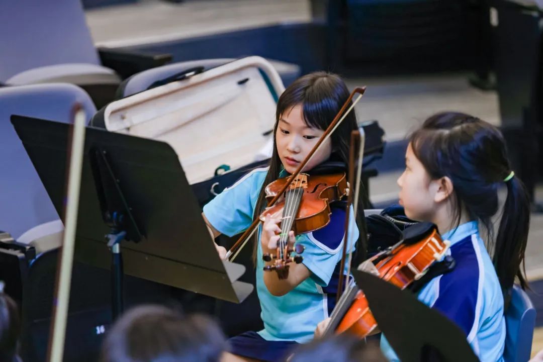 集齐七颗龙珠，助力小学飞升 - primary education