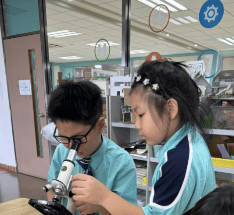 NACIS校园内竟暗藏养鸡场？MIT同款宝藏课堂带你探寻校园最火打卡点的奥秘NACIS STEAM PROGRAMME - STEAM