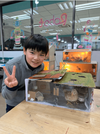 NACIS校园内竟暗藏养鸡场？MIT同款宝藏课堂带你探寻校园最火打卡点的奥秘NACIS STEAM PROGRAMME - STEAM