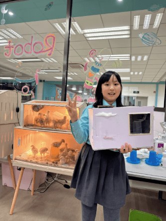 NACIS校园内竟暗藏养鸡场？MIT同款宝藏课堂带你探寻校园最火打卡点的奥秘NACIS STEAM PROGRAMME - STEAM