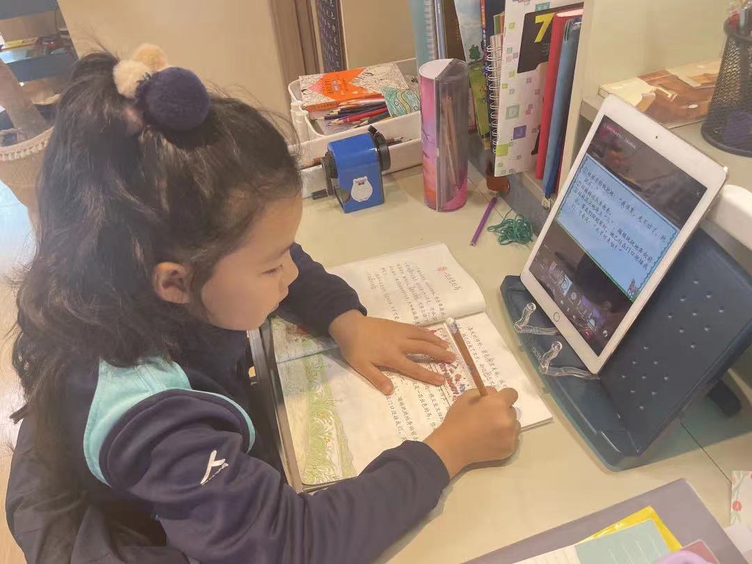 有备而来的线上课堂,我们无惧“倒春寒” - A prepared online class were braving the cold